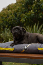 ALMOHADONES ANTIDESGARRO GRIS - ABEJAS - Imagen 4