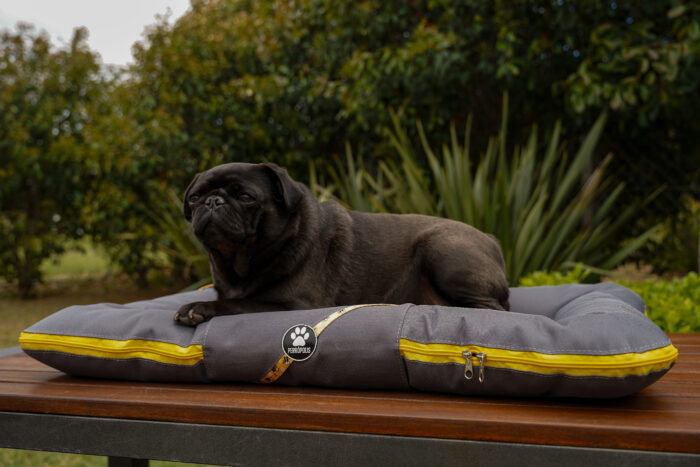 ALMOHADONES ANTIDESGARRO - HISTORIETA - Imagen 2