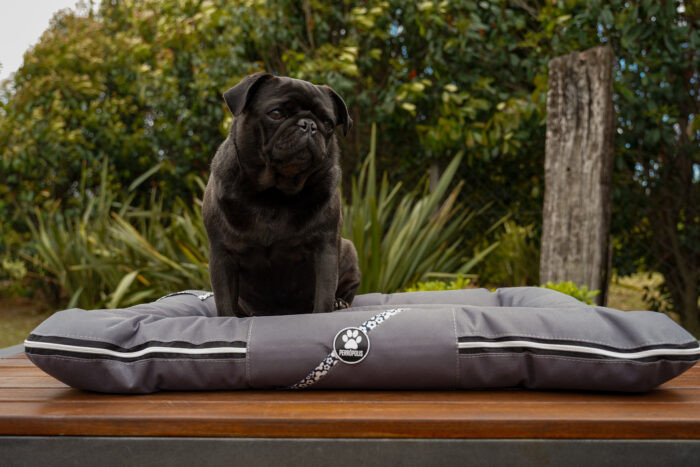 ALMOHADONES ANTIDESGARRO - FLORES - Imagen 2