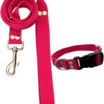 Conjunto Collar Regulable y Correa Fucsia