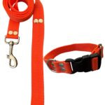 Conjunto Collar Regulable y Correa Naranja