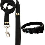 Conjunto Collar Regulable y Correa Negro