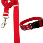 Conjunto Collar Regulable y Correa Rojo