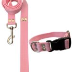 Conjunto Collar Regulable y Correa Rosa