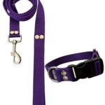 Conjunto Collar Regulable y Correa Violeta