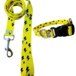 Collar Regulable Sublimado + Correa - Rayos