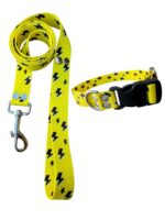 Collar Regulable Sublimado + Correa - Rayos