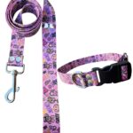 Collar Regulable Sublimado + Correa - Grafitti Rosa