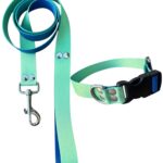 Collar Regulable Sublimado + Correa - Degrade Verde