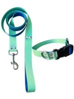 Collar Regulable Sublimado + Correa - Degrade Verde