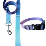 Collar Regulable Sublimado + Correa - Degrade Violeta