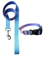 Collar Regulable Sublimado + Correa - Degrade Violeta