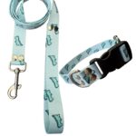 Collar Regulable Sublimado + Correa - Dino Celeste