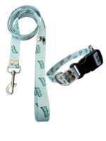 Collar Regulable Sublimado + Correa - Dino Celeste