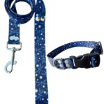 Collar Regulable Sublimado + Correa - Libelula