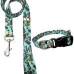 Collar Regulable Sublimado + Correa - Grafitti Celeste