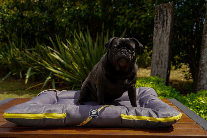 ALMOHADONES ANTIDESGARRO GRIS - ABEJAS - Imagen 3