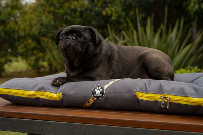 ALMOHADONES ANTIDESGARRO GRIS - ABEJAS - Imagen 4