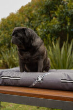 ALMOHADONES ANTIDESGARRO GRIS - FLORES - Imagen 3