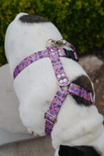 Conjunto Pretal H + Correa - Grafitti Violeta - Imagen 5