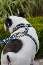 Conjunto Pretal H + Correa - Margaritas - Imagen 4