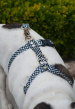 Conjunto Pretal H + Correa - Cuadrille - Imagen 5