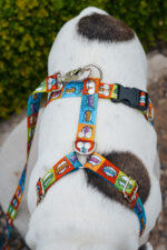 Conjunto Pretal H + Correa - Historieta - Imagen 4