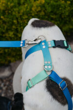 Conjunto Pretal H + Correa - Degrade Verde - Imagen 4