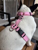 Conjunto Pretal H Liso Full Color + Correa - Rosa - Imagen 5