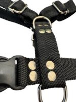 Conjunto Pretal H liso + Correa Lisa - Negro - Imagen 2