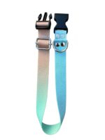 Collar Regulable Sublimado + Correa - Degrade Pastel - Imagen 2