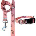 Collar Regulable Sublimado + Correa - Dino Rosa