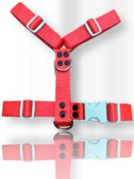 Conjunto Pretal H Liso Full Color + Correa - Rojo (copia) - Imagen 3