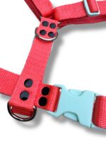 Conjunto Pretal H Liso Full Color + Correa - Naranja - Imagen 4