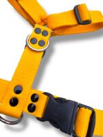 Conjunto Pretal H Liso Full Color + Correa - Amarillo - Imagen 4