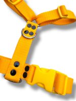 Conjunto Pretal H Liso Full Color + Correa - Amarillo - Imagen 3