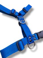 Conjunto Pretal H Liso Full Color + Correa - Azul - Imagen 3