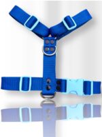 Conjunto Pretal H Liso Full Color + Correa - Azul - Imagen 2