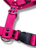 Conjunto Pretal H Liso Full Color + Correa - Fucsia - Imagen 3