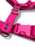 Conjunto Pretal H Liso Full Color + Correa - Fucsia - Imagen 4