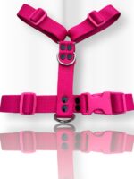 Conjunto Pretal H Liso Full Color + Correa - Fucsia - Imagen 2