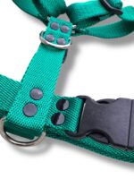 Conjunto Pretal H Liso Full Color + Correa - Verde - Imagen 4