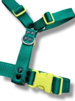 Conjunto Pretal H Liso Full Color + Correa - Verde - Imagen 3