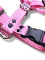 Conjunto Pretal H Liso Full Color + Correa - Rosa - Imagen 4