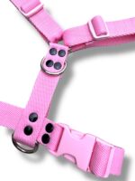 Conjunto Pretal H Liso Full Color + Correa - Rosa - Imagen 3