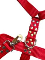 CONJUNTO PRETAL NATO + CORREA 40 MM - ROJO - Imagen 2