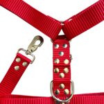 CONJUNTO PRETAL NATO + CORREA 40 MM - ROJO