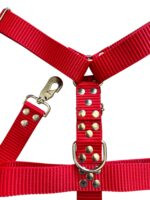 CONJUNTO PRETAL NATO + CORREA 40 MM - ROJO