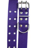 CONJUNTO PRETAL NATO + CORREA 40 MM - VIOLETA - Imagen 3