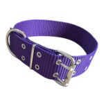 CONJUNTO COLLAR NATO + CORREA 50MM - VIOLETA